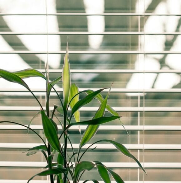 Ugradnja roleta u Zagrebu