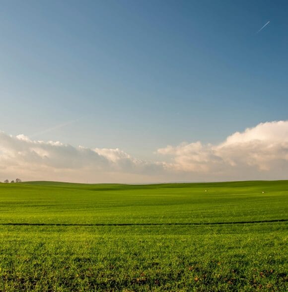 Košnja trave i održavanje krajolika Daruvar