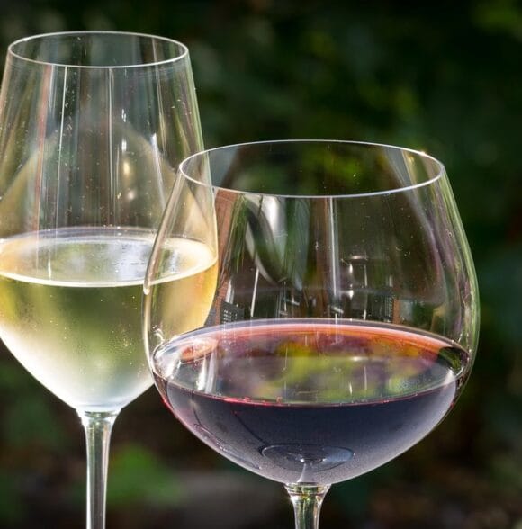 Prodaja crnog i bijelog vina Škabrnja