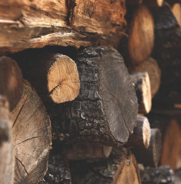 Drva za ogrjev