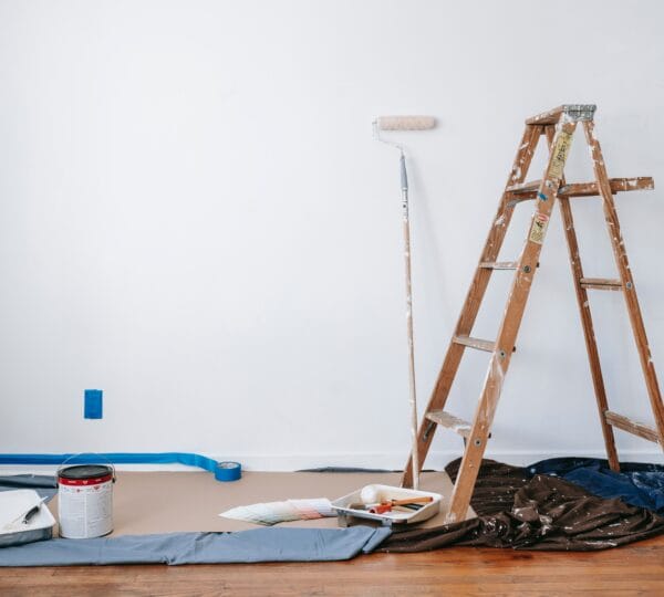 Najbolji moler u Zagrebu