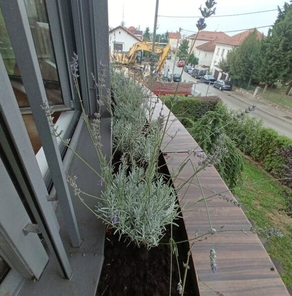 Profesionalno uređenje vrtova Zagreb