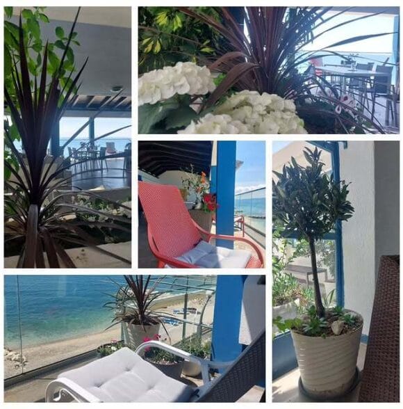 Uređenje i održavanje okućnica Split