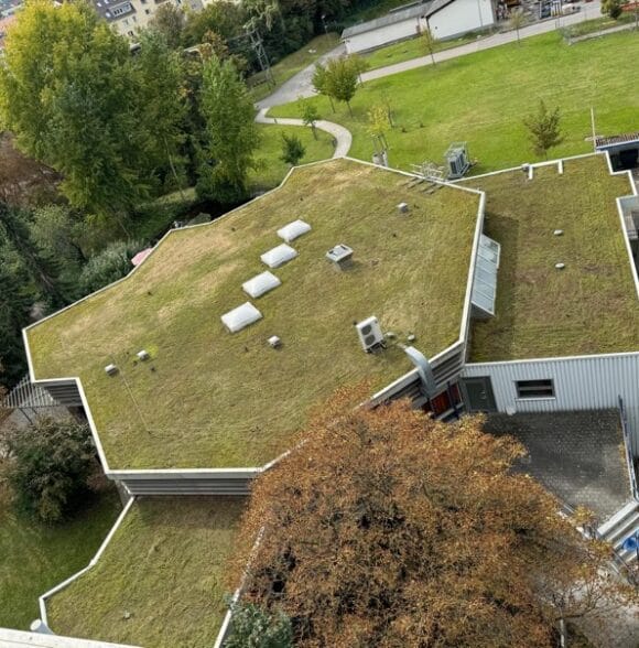 Hortikultura i uređenje dvorišta Dubrovnik