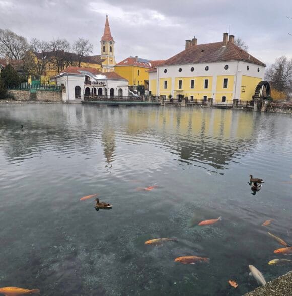 Organizacija putovanja Krapina