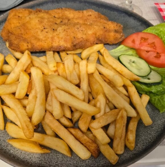 Usluge smještaja u hostelu s restoranom Slatina