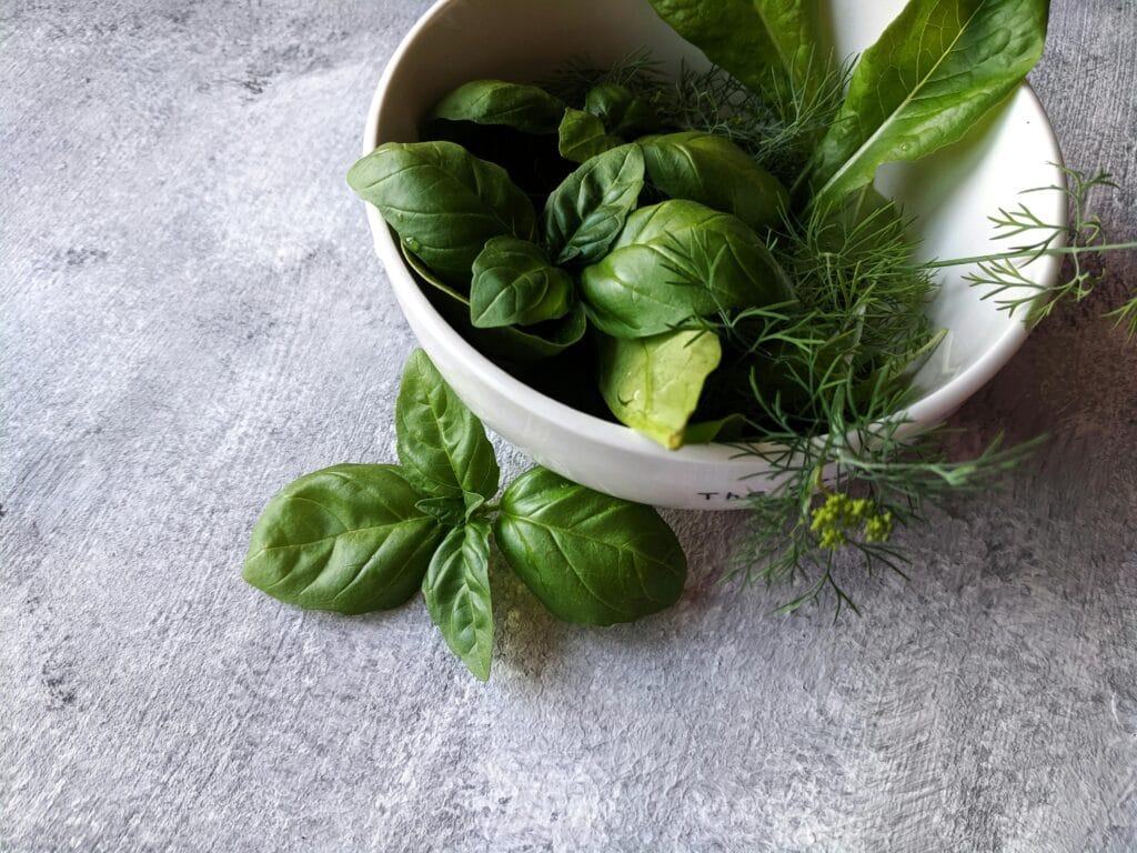 Prodaja ljekovitog bilja