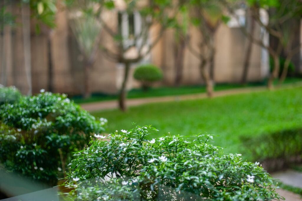 Uređenje okućnica i pranje kamenih podova