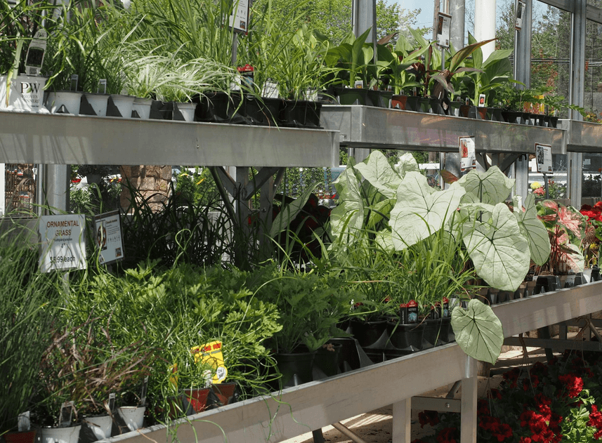 Hortikulturno uređenje interijera